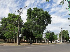 Curico, plaza en Av Freire (16984181325).jpg