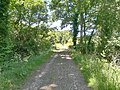 La chaussée de l'ancienne ligne ferroviaire allant de Quimperlé à Concarneau dans la vallée du Guily ; désormais c'est un sentier de randonnée.