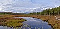 45 Sunday Creek Bog uploaded by The Cosmonaut, nominated by The Cosmonaut,  10,  0,  0