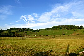 Farm fields near Laurel Bloomery