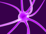 VioletNeuron