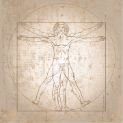 Da Vinci Vitruve Luc Viatour 2.svg