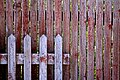 two adjoining border fences, Denmark