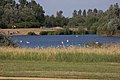 Willen Lake, northern part