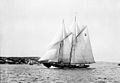 The Bluenose in 1921. The racing ship became a provincial icon for Nova Scotia in the 1920s and 1930s