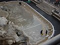 Deutsch: Brunnenreinigung English: Cleaning the fountain from coins