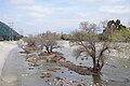 * Nomination Los Angeles River from Sunnynook Pedestrian Bridge, Atwater, LA, USA --Tagooty 00:52, 19 February 2024 (UTC) * Promotion  Support Good quality. --Bgag 00:57, 19 February 2024 (UTC)