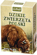 Dzikie Zwierzęta Polski