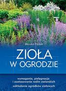 Zioła w ogrodzie (Ebook)  -  SBM  