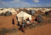 Лагерь беженцев в Дадаабе на границе Кении и Сомали